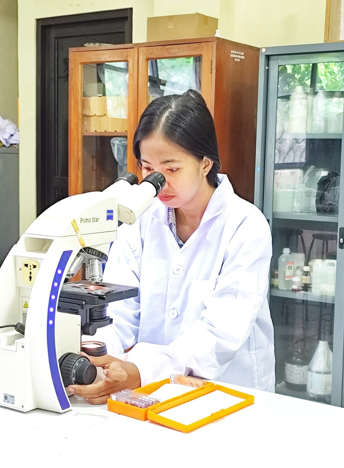 Alga Coklat dari pulau Maitara Percepat Kematangan Induk Nila, Riset Mahasiswi Unkhair Tawarkan Alternatif Hormon Sintetis